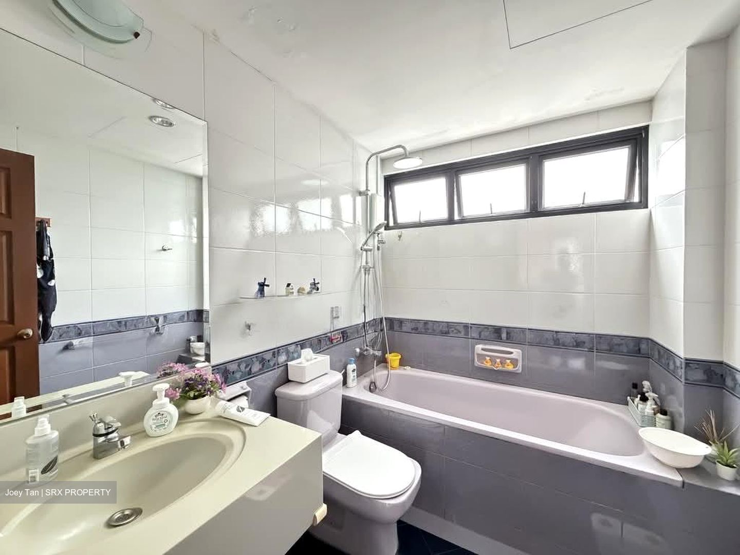 Chiltern Park (D19), Condominium #554564521